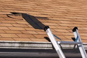House Watch Service