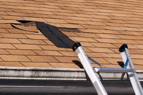 House Watch Service